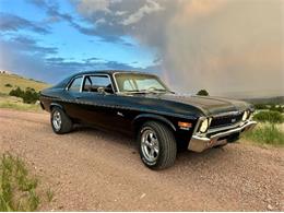 1974 Chevrolet Nova SS (CC-2090381) for sale in Cadillac, Michigan