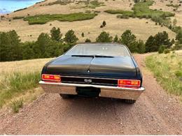 1974 Chevrolet Nova SS (CC-2090381) for sale in Cadillac, Michigan