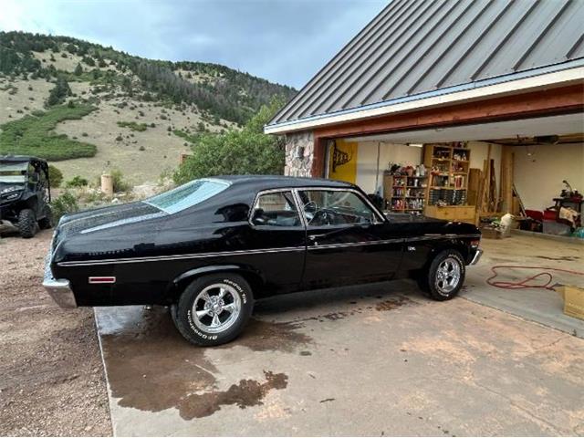 1974 Chevrolet Nova SS (CC-2090381) for sale in Cadillac, Michigan