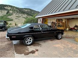 1974 Chevrolet Nova SS (CC-2090381) for sale in Cadillac, Michigan