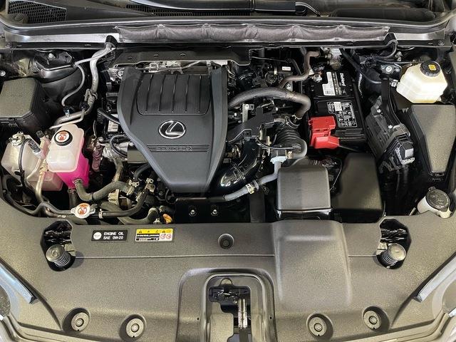 2023 Lexus RX (CC-2093841) for sale in Jacksonville, Florida