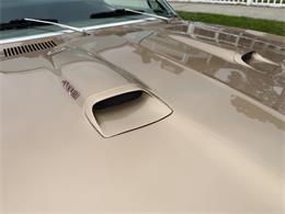 1967 Pontiac Firebird (CC-2093866) for sale in Milford City, Connecticut