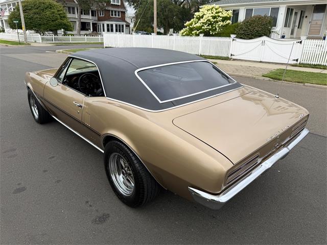 1967 Pontiac Firebird (CC-2093866) for sale in Milford City, Connecticut