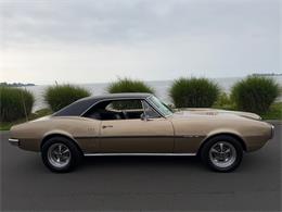 1967 Pontiac Firebird (CC-2093866) for sale in Milford City, Connecticut