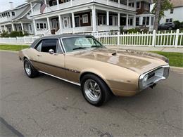 1967 Pontiac Firebird (CC-2093866) for sale in Milford City, Connecticut