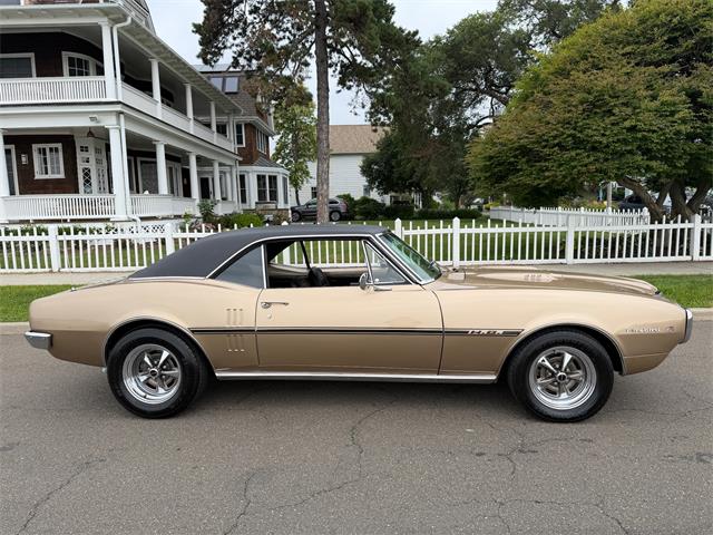 1967 Pontiac Firebird (CC-2093866) for sale in Milford City, Connecticut
