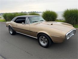 1967 Pontiac Firebird (CC-2093866) for sale in Milford City, Connecticut