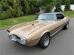 1967 Pontiac Firebird (CC-2093866) for sale in Milford City, Connecticut