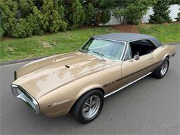 1967 Pontiac Firebird (CC-2093866) for sale in Milford City, Connecticut