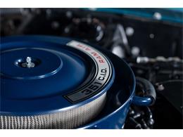 1970 Shelby GT350 (CC-2093870) for sale in Halton Hills, Ontario