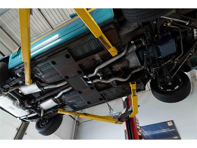 1970 Shelby GT350 (CC-2093870) for sale in Halton Hills, Ontario