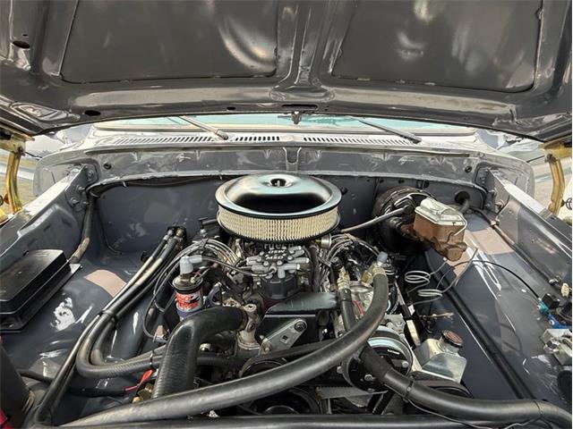 1979 Ford Bronco (CC-2093918) for sale in Orwigsburg, Pennsylvania