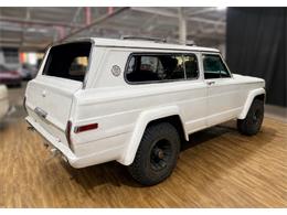 1979 Jeep Cherokee Chief (CC-2093977) for sale in Dekalb, Illinois