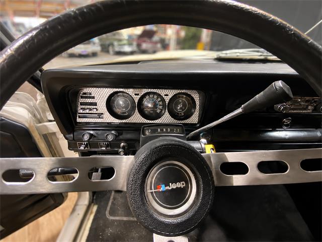 1979 Jeep Cherokee Chief (CC-2093977) for sale in Dekalb, Illinois
