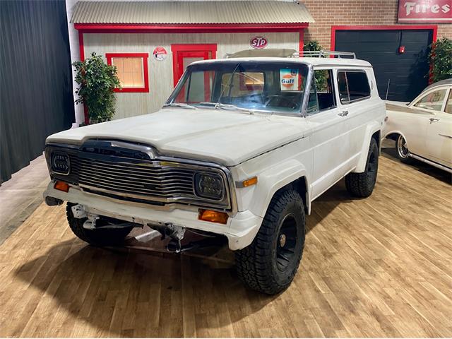 1979 Jeep Cherokee Chief (CC-2093977) for sale in Dekalb, Illinois