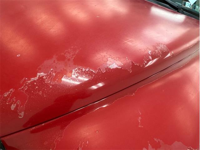 1999 Dodge Dakota (CC-2093984) for sale in Morgantown, Pennsylvania