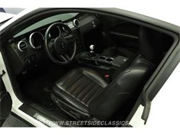 2007 Ford Mustang (CC-2094014) for sale in Lutz, Florida