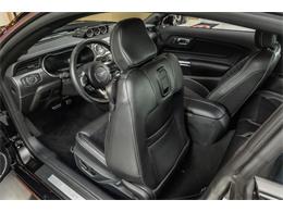 2023 Ford Mustang (CC-2094047) for sale in Plymouth, Michigan