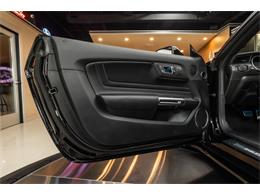 2023 Ford Mustang (CC-2094047) for sale in Plymouth, Michigan