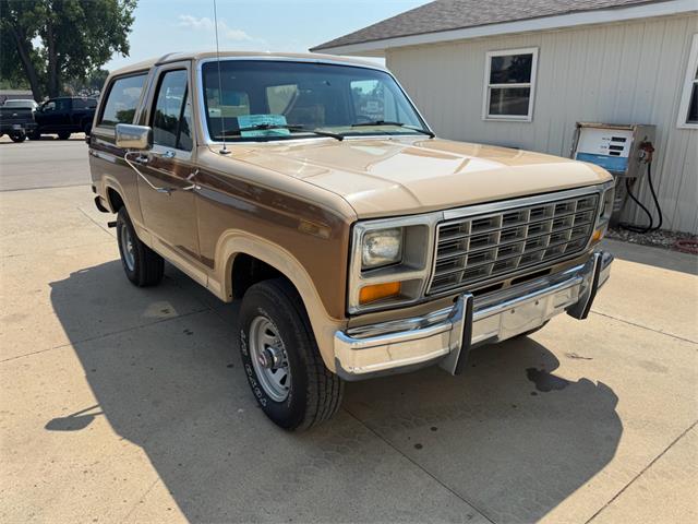 1985 Ford Bronco (CC-2094095) for sale in Brookings, South Dakota