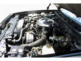 1983 Oldsmobile Cutlass (CC-2094104) for sale in Sarasota, Florida