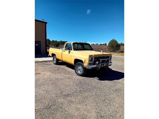 1979 GMC K1500 (CC-2094123) for sale in Cadillac, Michigan