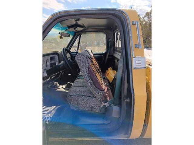 1979 GMC K1500 (CC-2094123) for sale in Cadillac, Michigan