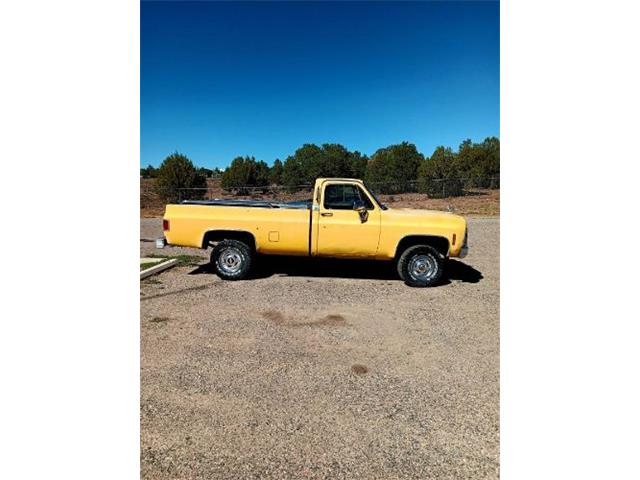 1979 GMC K1500 (CC-2094123) for sale in Cadillac, Michigan