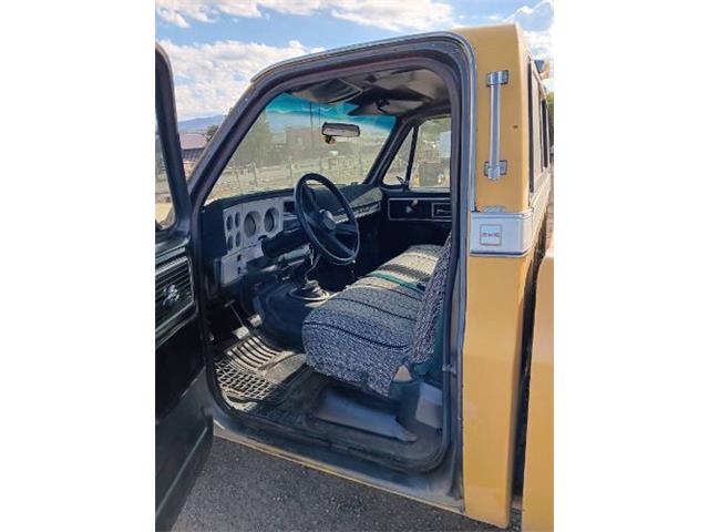 1979 GMC K1500 (CC-2094123) for sale in Cadillac, Michigan