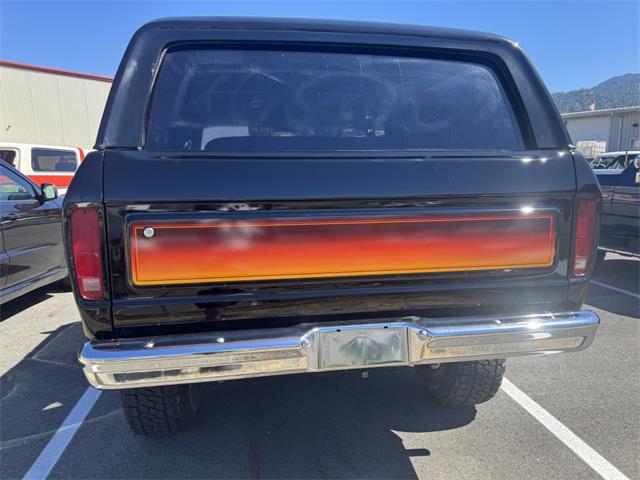 1979 Ford Bronco (CC-2094147) for sale in Reno, Nevada