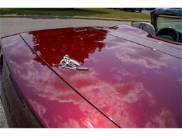 2003 Chevrolet Corvette (CC-2094153) for sale in Ramsey, Minnesota