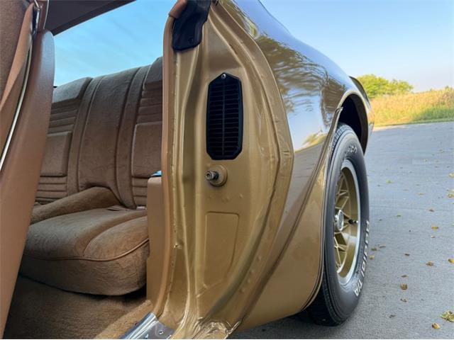 1978 Pontiac Firebird Trans Am (CC-2094188) for sale in Lincoln, Nebraska