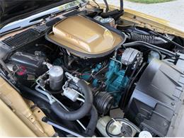 1978 Pontiac Firebird Trans Am (CC-2094188) for sale in Lincoln, Nebraska