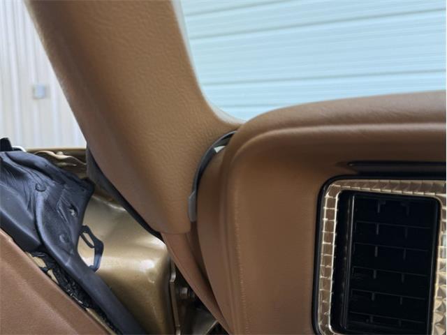1978 Pontiac Firebird Trans Am (CC-2094188) for sale in Lincoln, Nebraska