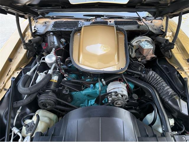 1978 Pontiac Firebird Trans Am (CC-2094188) for sale in Lincoln, Nebraska