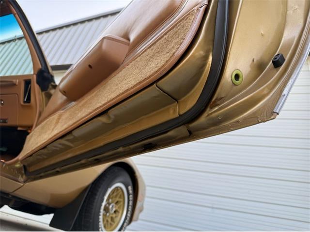 1978 Pontiac Firebird Trans Am (CC-2094188) for sale in Lincoln, Nebraska