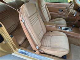 1978 Pontiac Firebird Trans Am (CC-2094188) for sale in Lincoln, Nebraska