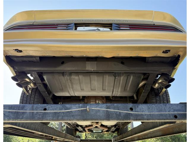 1978 Pontiac Firebird Trans Am (CC-2094188) for sale in Lincoln, Nebraska