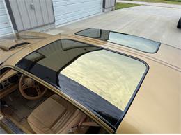 1978 Pontiac Firebird Trans Am (CC-2094188) for sale in Lincoln, Nebraska