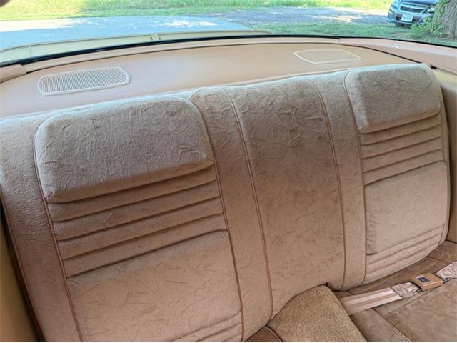 1978 Pontiac Firebird Trans Am (CC-2094188) for sale in Lincoln, Nebraska