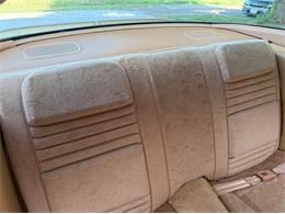 1978 Pontiac Firebird Trans Am (CC-2094188) for sale in Lincoln, Nebraska