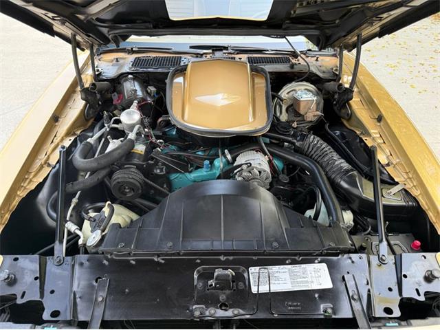 1978 Pontiac Firebird Trans Am (CC-2094188) for sale in Lincoln, Nebraska