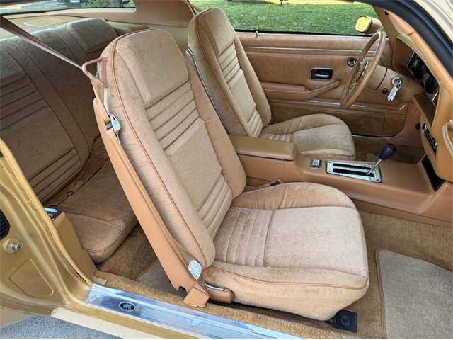 1978 Pontiac Firebird Trans Am (CC-2094188) for sale in Lincoln, Nebraska
