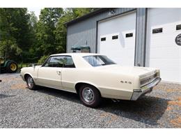 1964 Pontiac GTO (CC-2094195) for sale in Saratoga Springs, New York