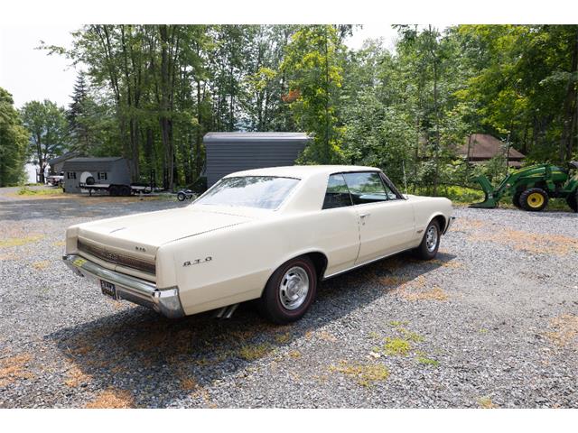 1964 Pontiac GTO (CC-2094195) for sale in Saratoga Springs, New York