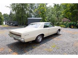 1964 Pontiac GTO (CC-2094195) for sale in Saratoga Springs, New York