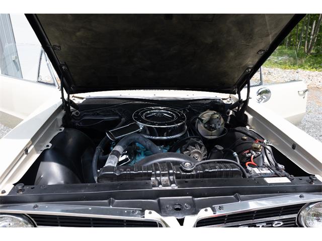 1964 Pontiac GTO (CC-2094195) for sale in Saratoga Springs, New York