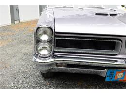1965 Pontiac GTO (CC-2094196) for sale in Saratoga Springs, New York