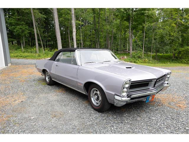 1965 Pontiac GTO (CC-2094196) for sale in Saratoga Springs, New York
