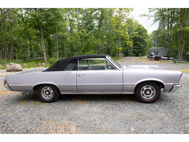 1965 Pontiac GTO (CC-2094196) for sale in Saratoga Springs, New York